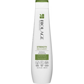 Biolage Strength Recovery szampon do włosów zniszczonych 250ml